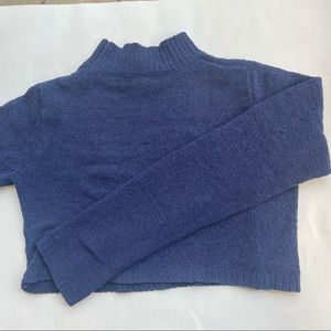 Wild Fable blue cropped sweater